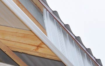 why Larches fascia repairs are essential
