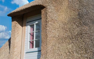 Larches thatch roof disadvantages