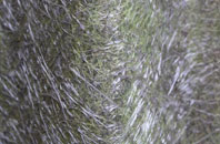 Larches fibreglass roof work